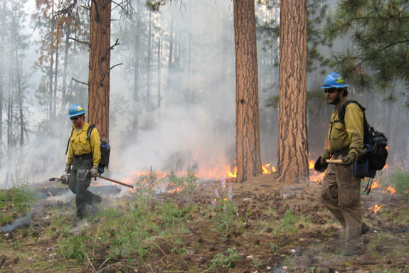 Blacklining operations during an Arizona wildfire.