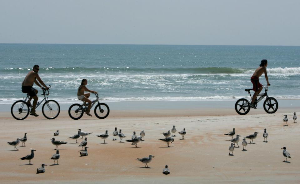 A trio of bicycle riders pass a flock of shore birds along the sandy beach in Daytona Beach Shores on Friday June 19, 2009 morning.