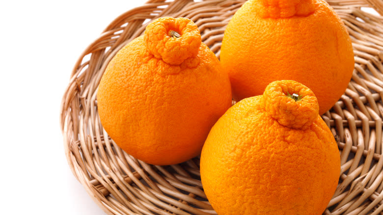 Shiranui mandarins