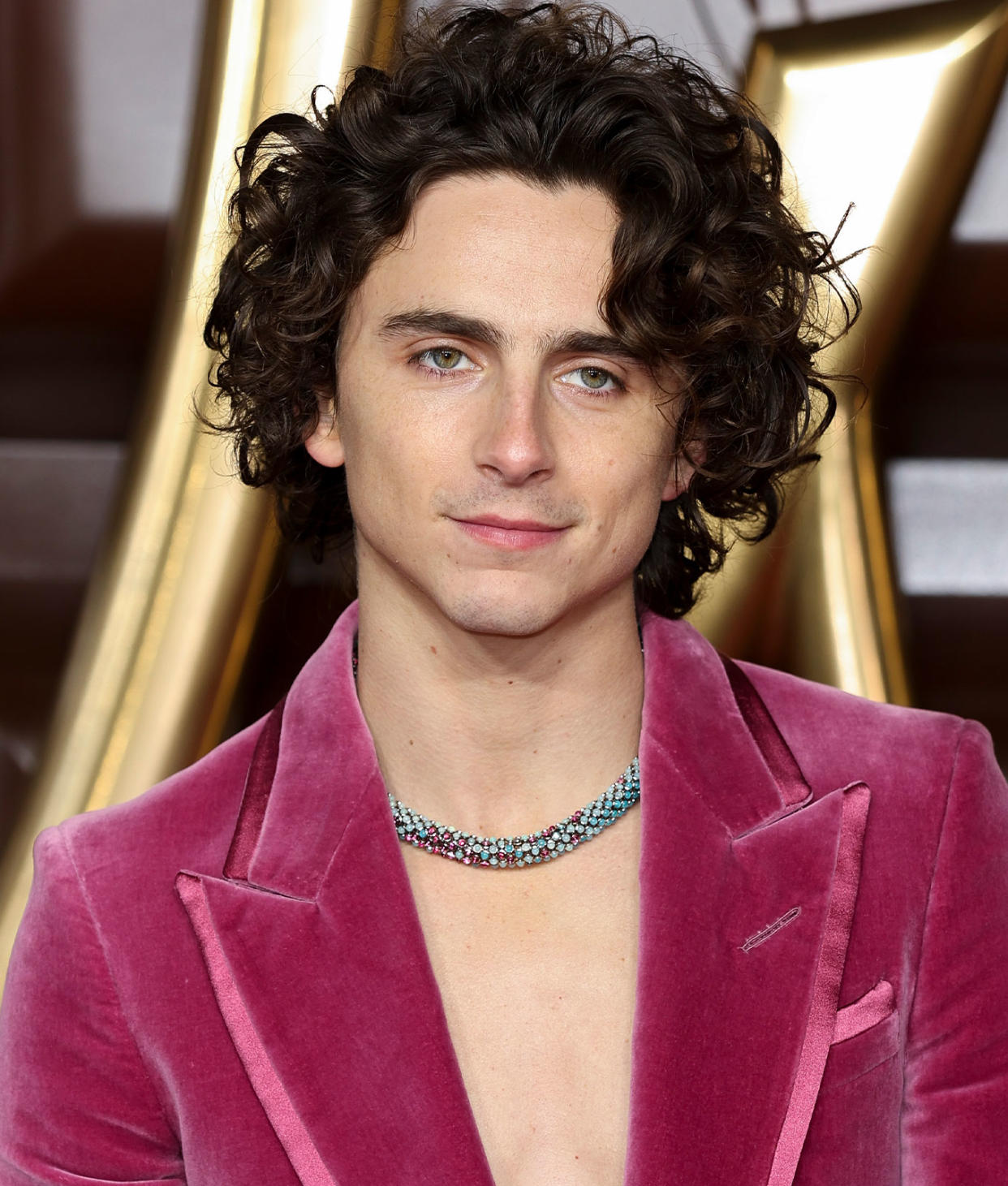 Timothée Chalamet Wore Cartier Necklace with Nearly 1,000 Gemstones to ...