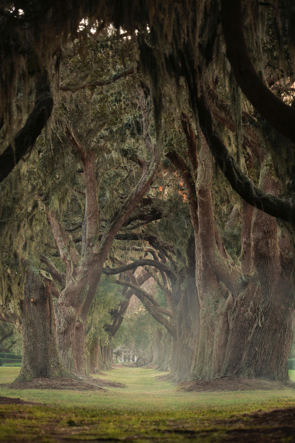 Photo credit: Sea Island