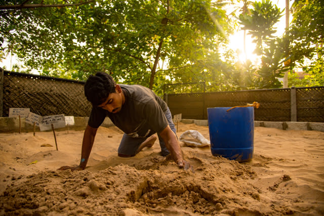 Tsunami survivor builds amazing turtle sanctuary