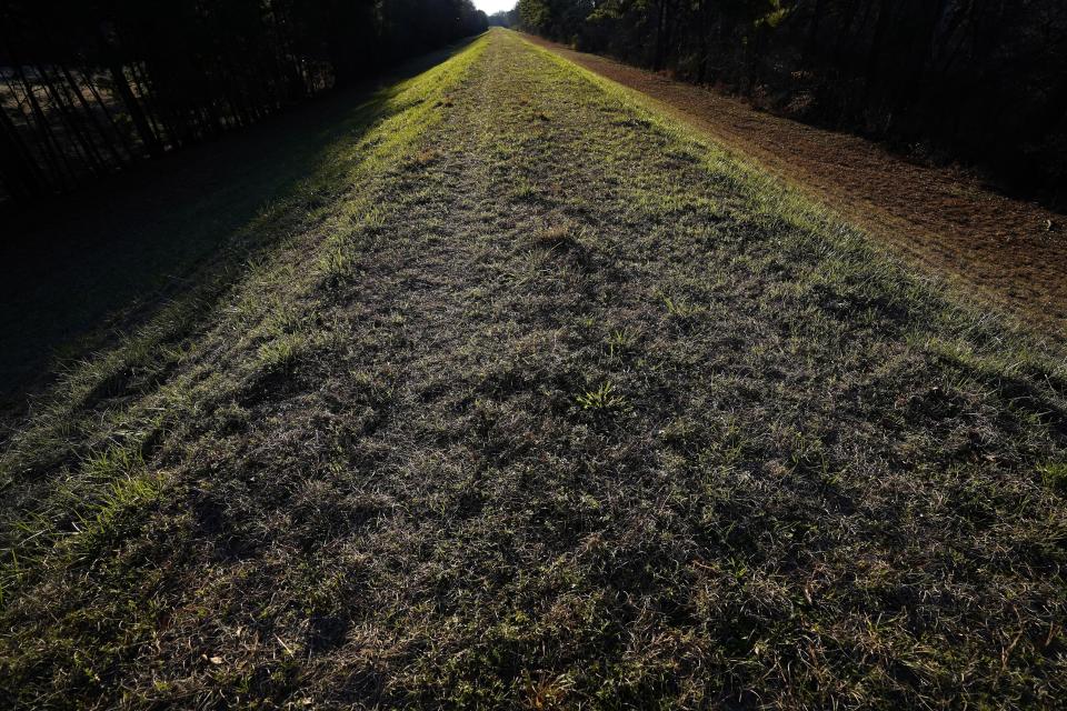 An earthen levee is lit by the setting sun along the Tar River in Princeville, N.C., Monday, Feb. 28, 2022. The town, whose seal proudly declares it “the oldest town chartered by Blacks in America," has flooded many times. (AP Photo/Gerry Broome)