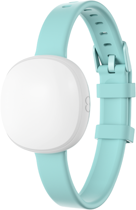 Ava Fertility Tracker 2.0 (Photo: Ava)