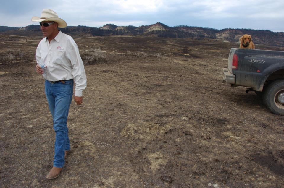 A July 20, 2012 photo shows Sid Samuelson walking through a livestock pasture burned in southeastern Montana's Ash Creek Fire on his ranch near Volborg, Mont. Samuelson estimates he lost up to 8,000 acres of private grazing lands to the 390-square-mile fire.(AP Photos/Matthew Brown)