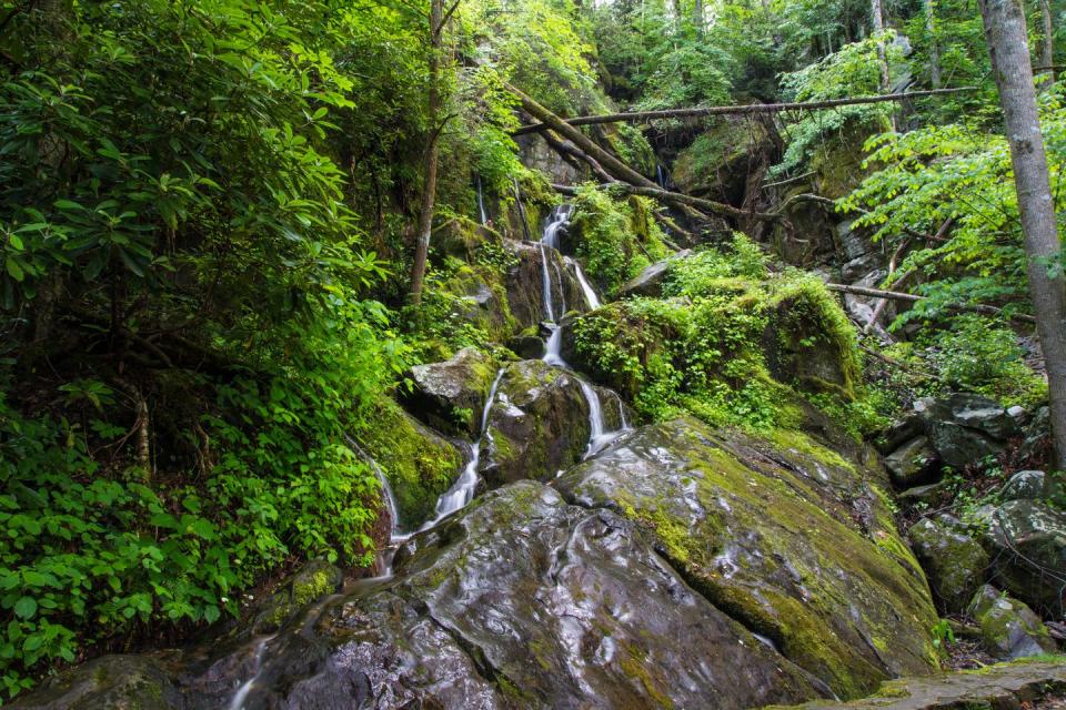 Roaring Fork Motor Trail, Tennessee