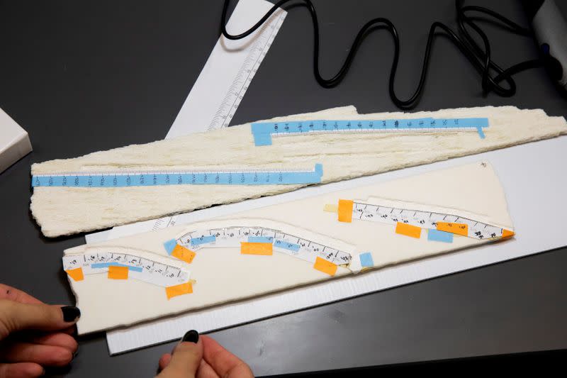 Tape marking the growth path is attached to slices of a coral core recovered during a research trip in American Samoa in 2011 by Braddock Linsley inside of the Lamont-Doherty Earth Observatory of Columbia University in Palisades, New York