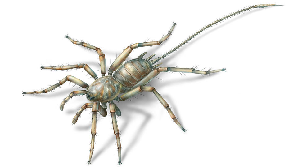 Reconstrucción del aspecto que tendría la araña quimera encontrada en ámbar. Por BO WANG