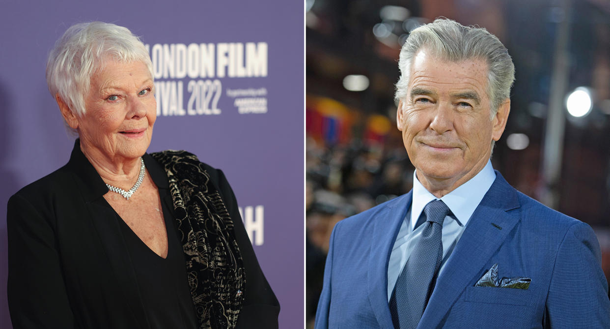 Judi Dench and Pierce Brosnan (WireImage/PA)