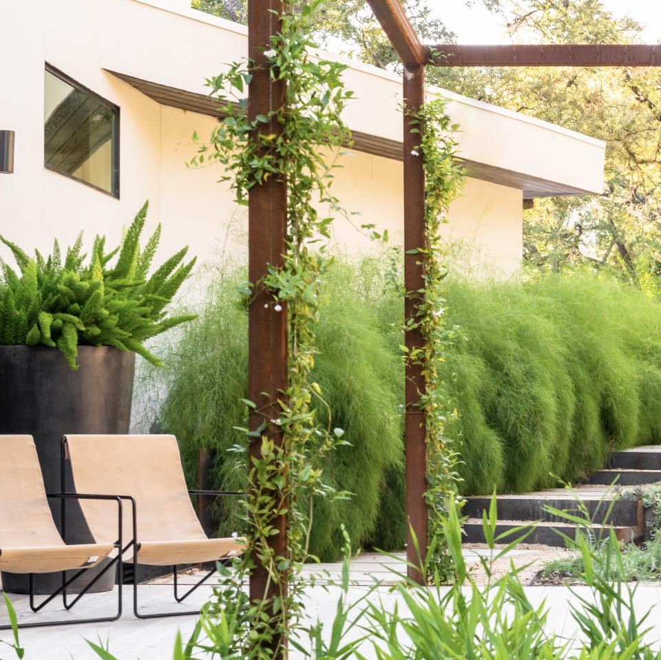 Front yard with ferns and grasses