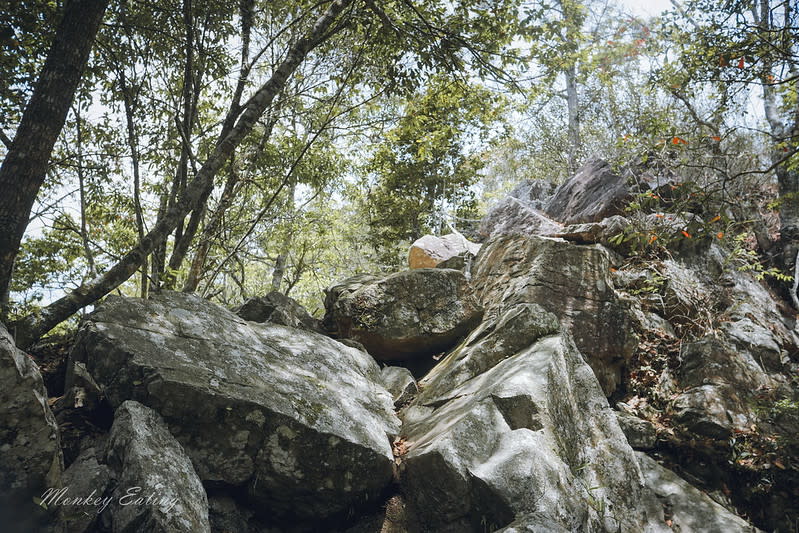 谷關七雄｜波津加山