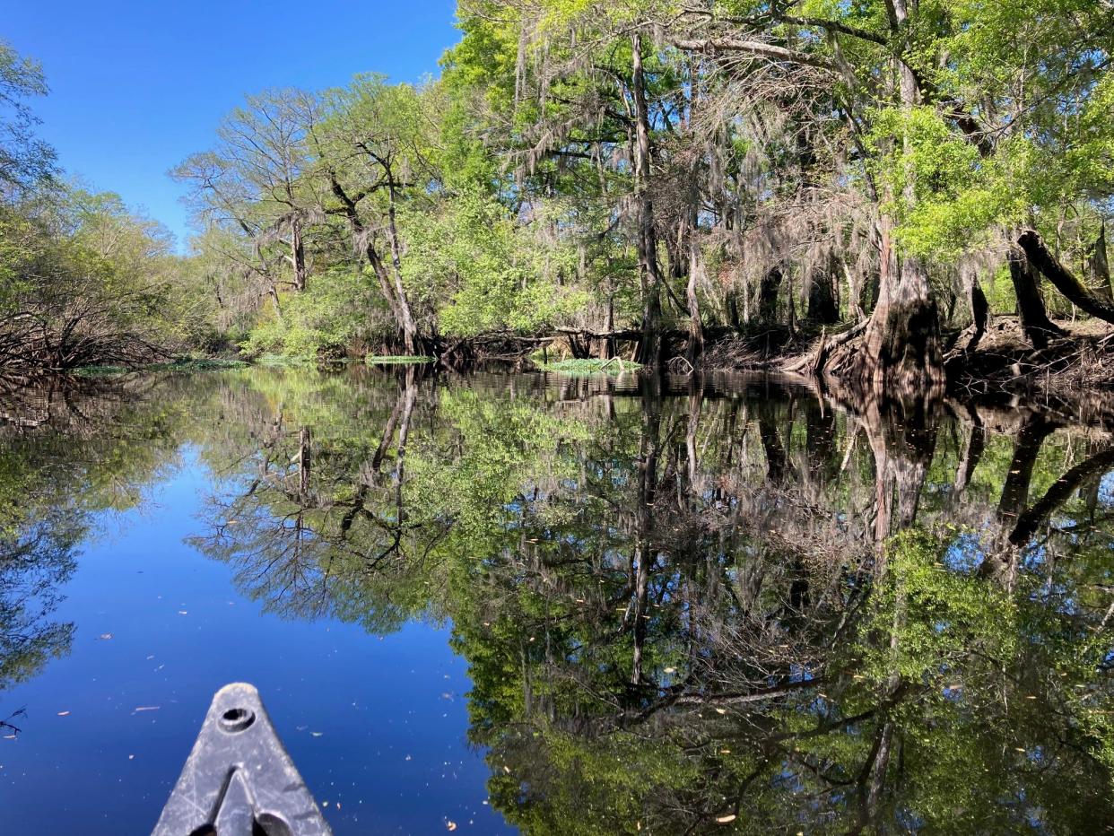 Josephine Johnson paddles Ebenezer Creek in March 2023 with guide Joe Cook.