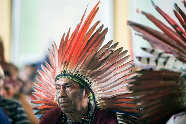 Members of indigenous communities hope the pope can help them as they fight threats to their dwindling communities