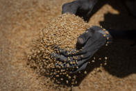 An Ethiopian woman scoops up portions of yellow split peas to be allocated to waiting families after it was distributed by the Relief Society of Tigray in the town of Agula, in the Tigray region of northern Ethiopia, on Saturday, May 8, 2021. The war in Tigray has spawned massacres, gang rapes and the widespread expulsion of people from their homes, and the United States has declared “ethnic cleansing” in western Tigray. Now, on top of those atrocities, Tigrayans face another urgent problem: hunger and starvation. (AP Photo/Ben Curtis)