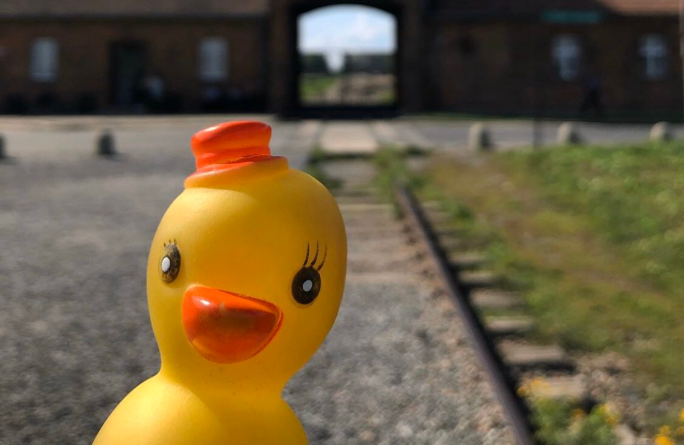 Instagram account posts pictures of this duck all over the world: Twitter/@AuschwitzMuseum