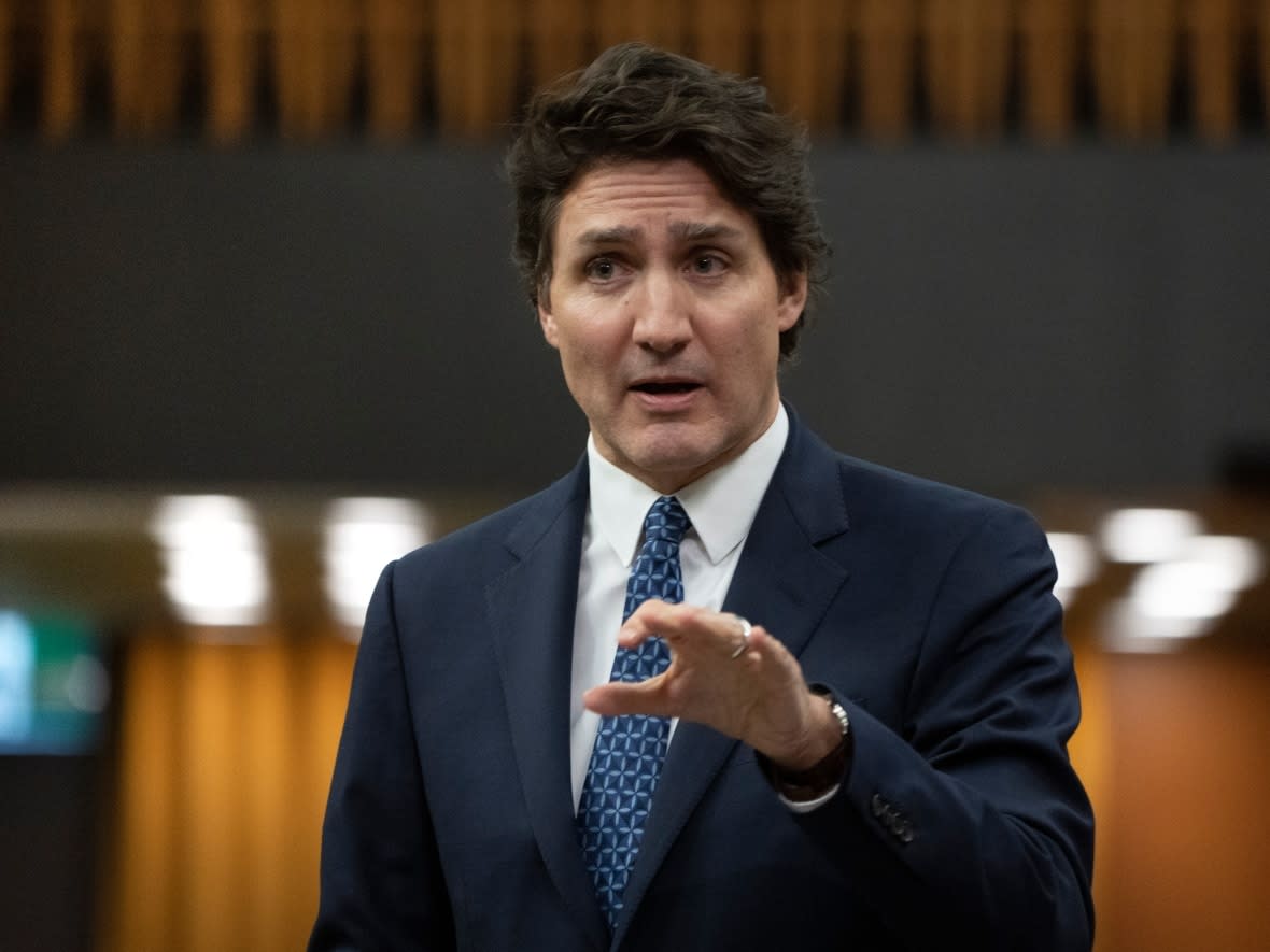 Prime Minister Justin Trudeau is defending the appointment of Martine Richard, the sister-in-law of Intergovernmental Affairs Minister Dominic LeBlanc, as interim ethics commissioner. (Adrian Wyld/The Canadian Press - image credit)