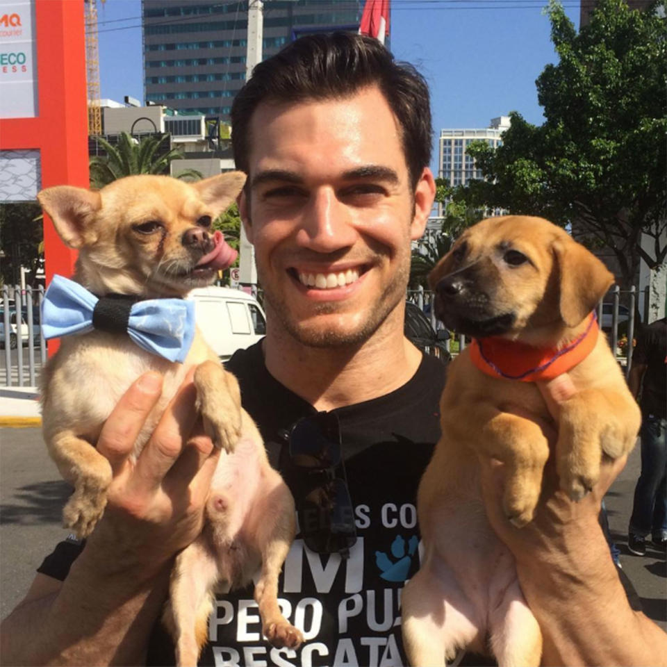 <p>On one of his many exotic trips — this one to the Dominican Republic — Antin shows off two adoptable pups. </p>