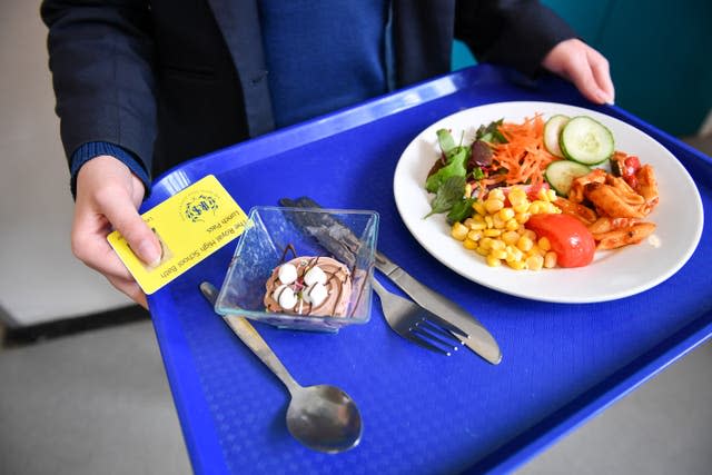 School dinner tray