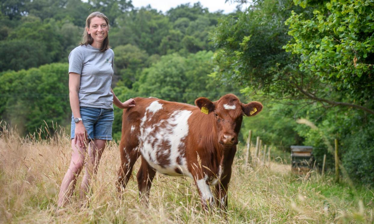 <span>Holly Purdey with a beef shorthorn calf at Horner farm, where she encourages nutrient cycling.</span><span>Photograph: Adrian Sherratt/The Guardian</span>