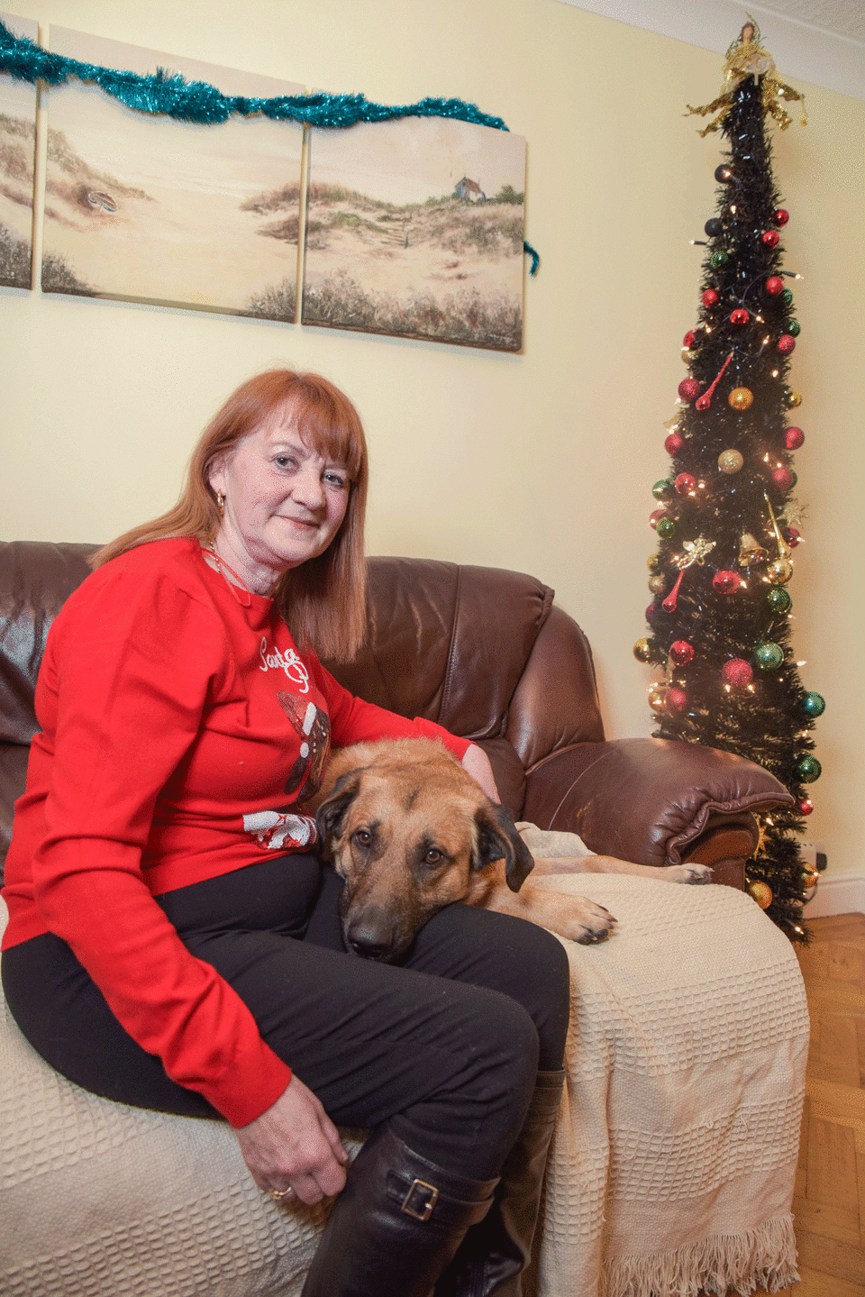 Pauline Warren, 62, noticed 15-month-old Belgian Shepherd Mickey had helped himself to one of the festive treats from the table. Photo: Caters