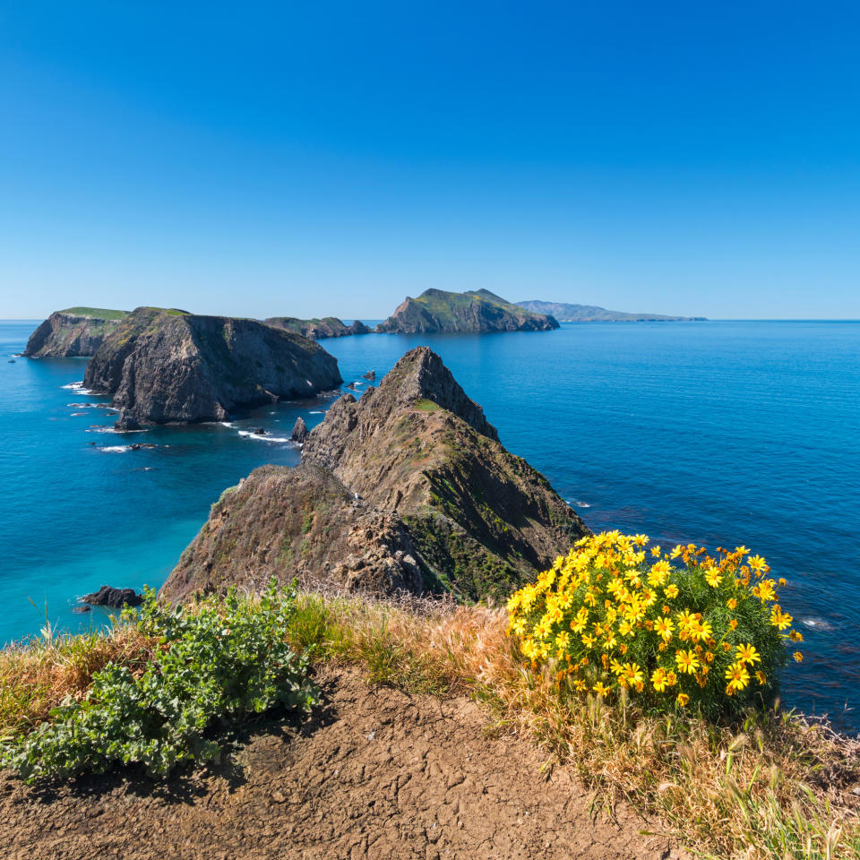 Channel Islands National Park, California