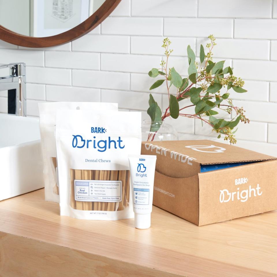 Bark Bright Dental Kit