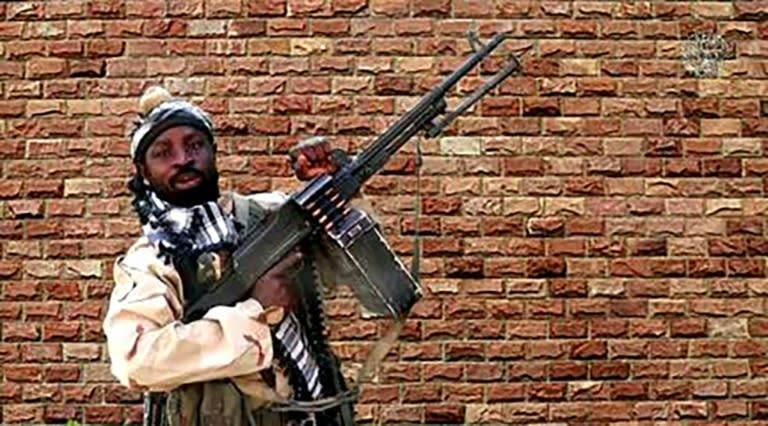 Boko Haram released a video on January 15 showing the group's leader, Abubakar Shekau, posing with a heavy machine-gun