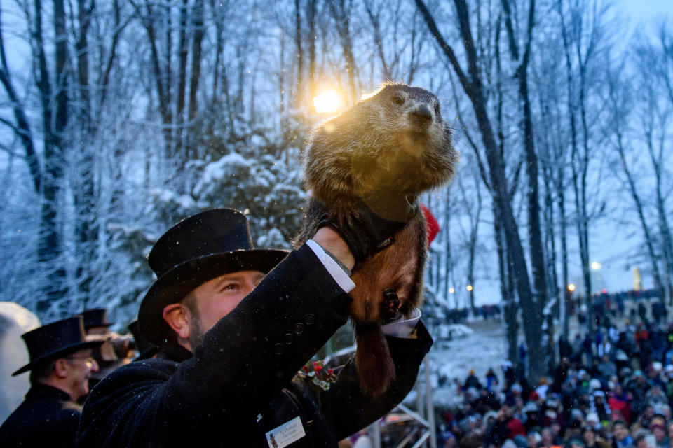 Groundhog handler AJ Dereume holds Punxsutawney Phil, who did not see his shadow, during the 134th annual Groundhog Day festivities on Feb. 2, 2020, in Punxsutawney, Pennsylvania.  / Credit: Jeff Swensen/Getty Images