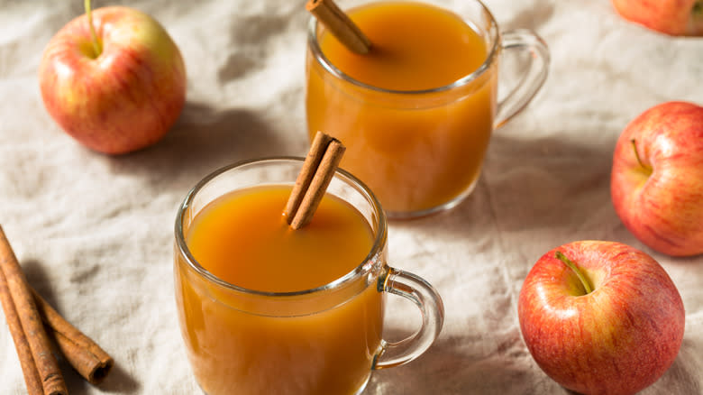 hot apple cider with cinnamon sticks