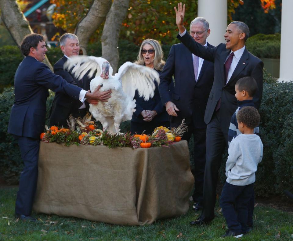 <p>President Barack Obama walks away after pardoning the National Thanksgiving Turkey, Tot, as the president’s nephews Aaron Robinson and Austin Robinson, watch, Wednesday, Nov. 23, 2016, during a ceremony in the Rose Garden of the White House in Washington. (Photo: Pablo Martinez Monsivais/AP) </p>
