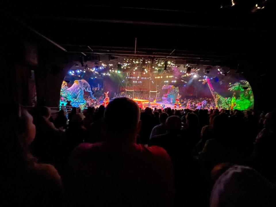 far away view of festival of the lion king at animal kingdom