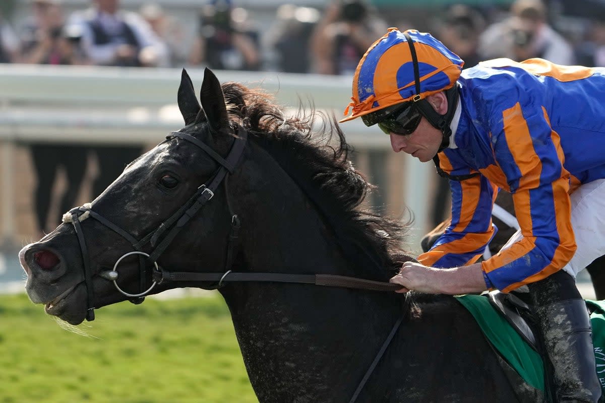 Ryan Moore rides Auguste Rodin to win the Breeders' Cup (AP)