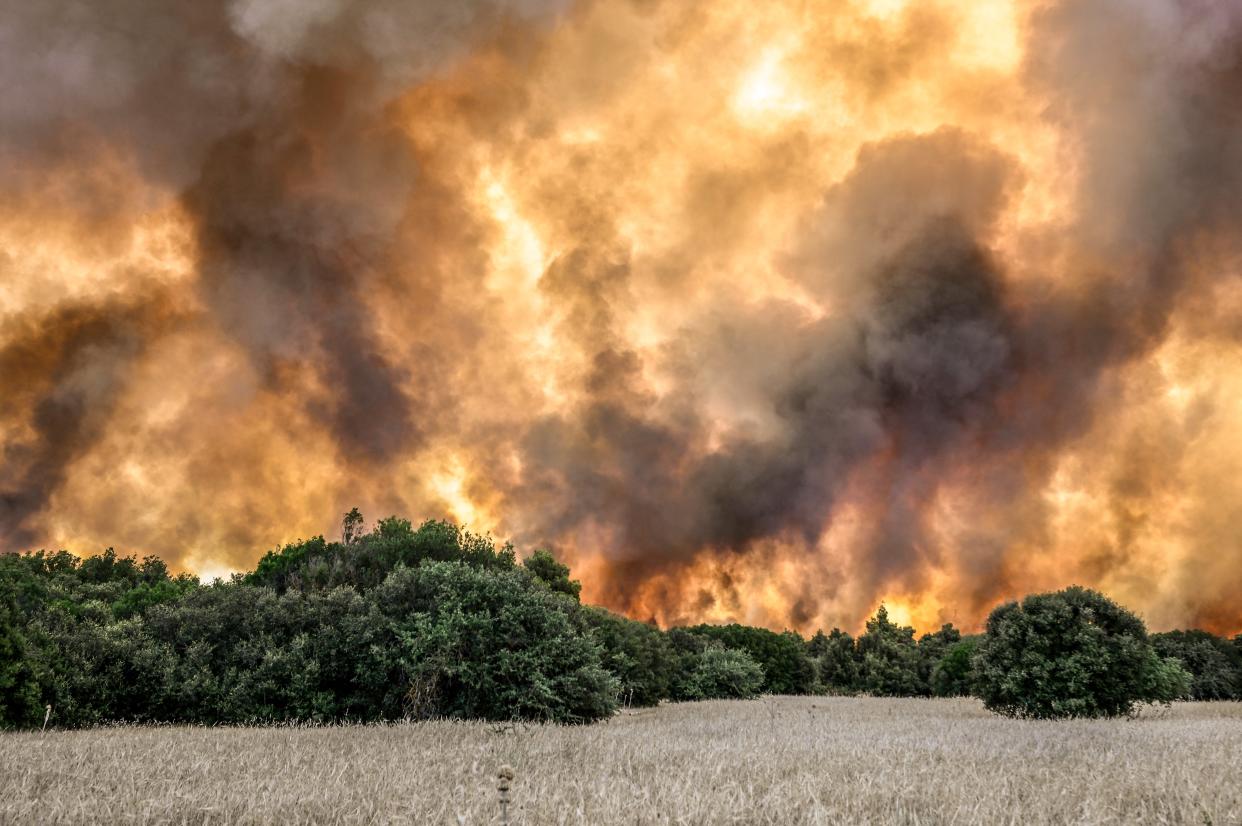 Wild fires engulf the fields near the settlement of Pournari, some 25km southwest of Athens (AFP via Getty Images)