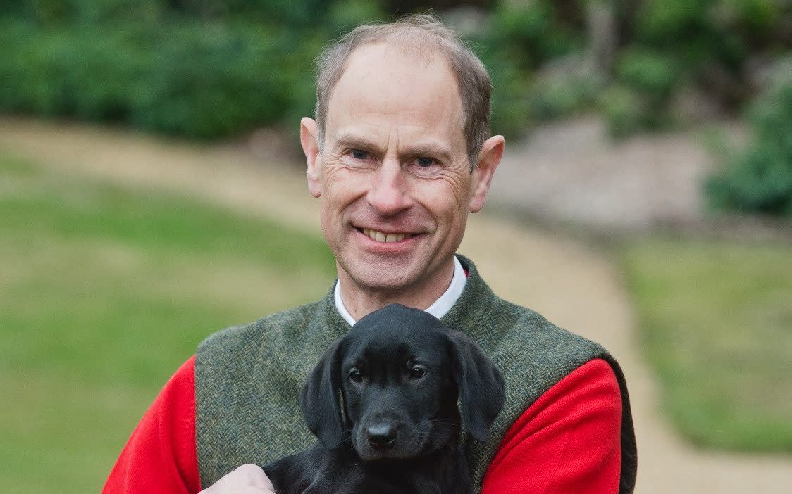 Britain's Prince Edward, Duke of Edinburgh, holds his Labrador puppy Teasel at Bagshot Park, Britain, in this undated handout photo issued by Buckingham Palace, to mark his 60th Birthday