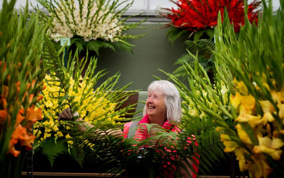The Chelsea Flower Show opens to the public on Tuesday - Credit: Geoff Pugh