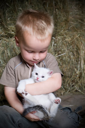 Boy and Kitten