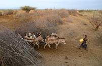 The Wider Image: When raiders menace in northern Kenya, grab your guns