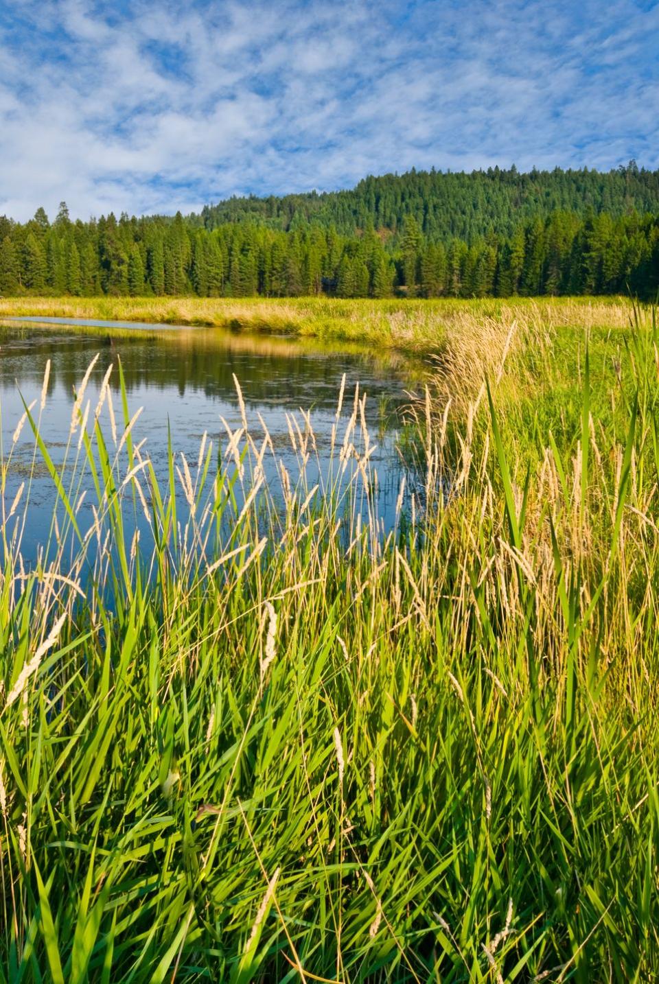 Idaho: Lakeshore Loop Trail