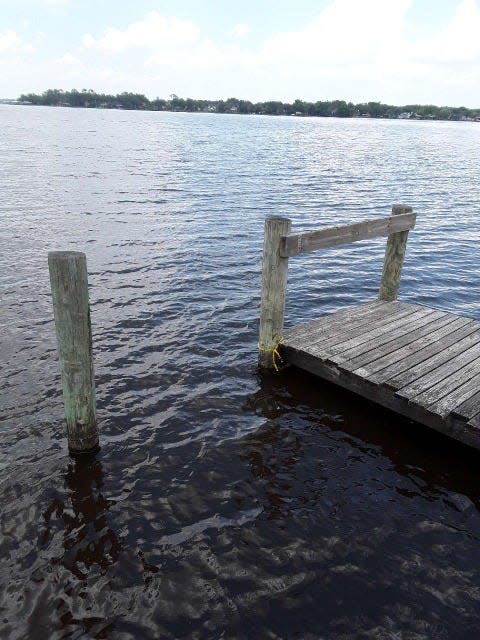 Toxin levels in algae collected at this part of Doctors Lake  May 17 led Clay County health officials to issues a public health alert advising precautions.