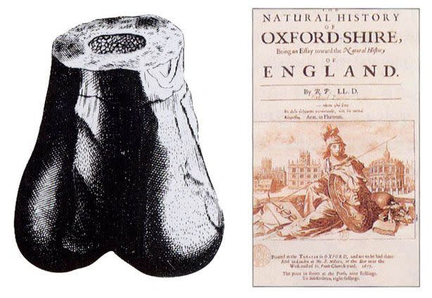 The cover of Robert Plot’s Natural History of Oxfordshire, 1677 (R). Plot’s illustration of the lower part of a Megalosaurus femur (L) (Source: Robert Plot’s Natural History of Oxfordshire)