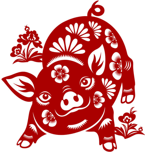 CNY financial horoscope prediction 2021 - Pig