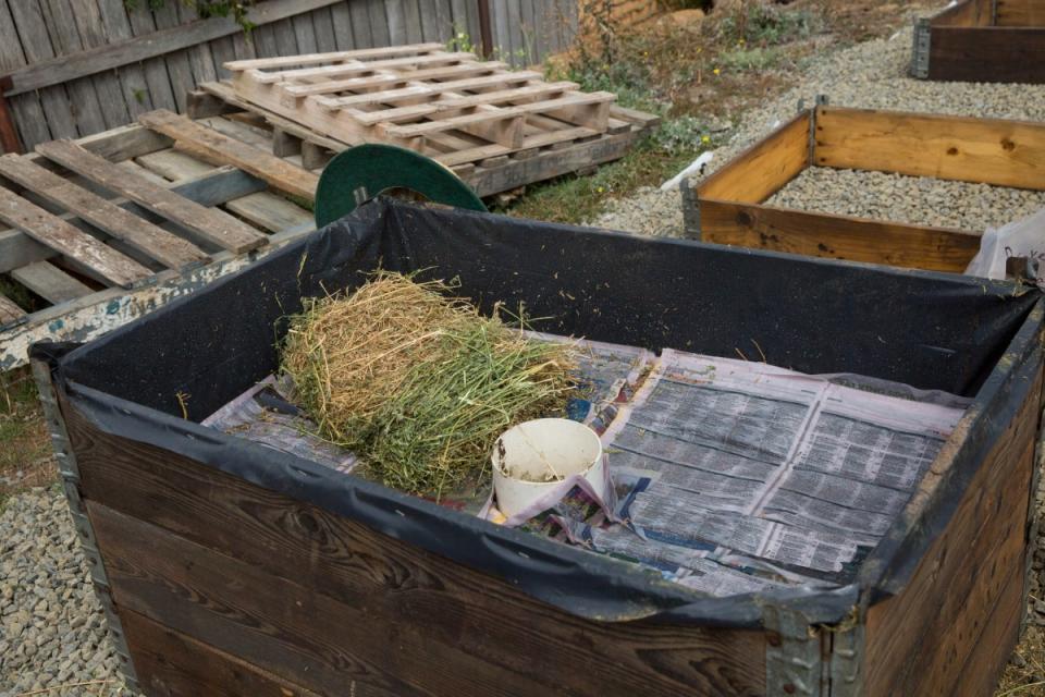 Newspapers are spread over soil in a raised garden.