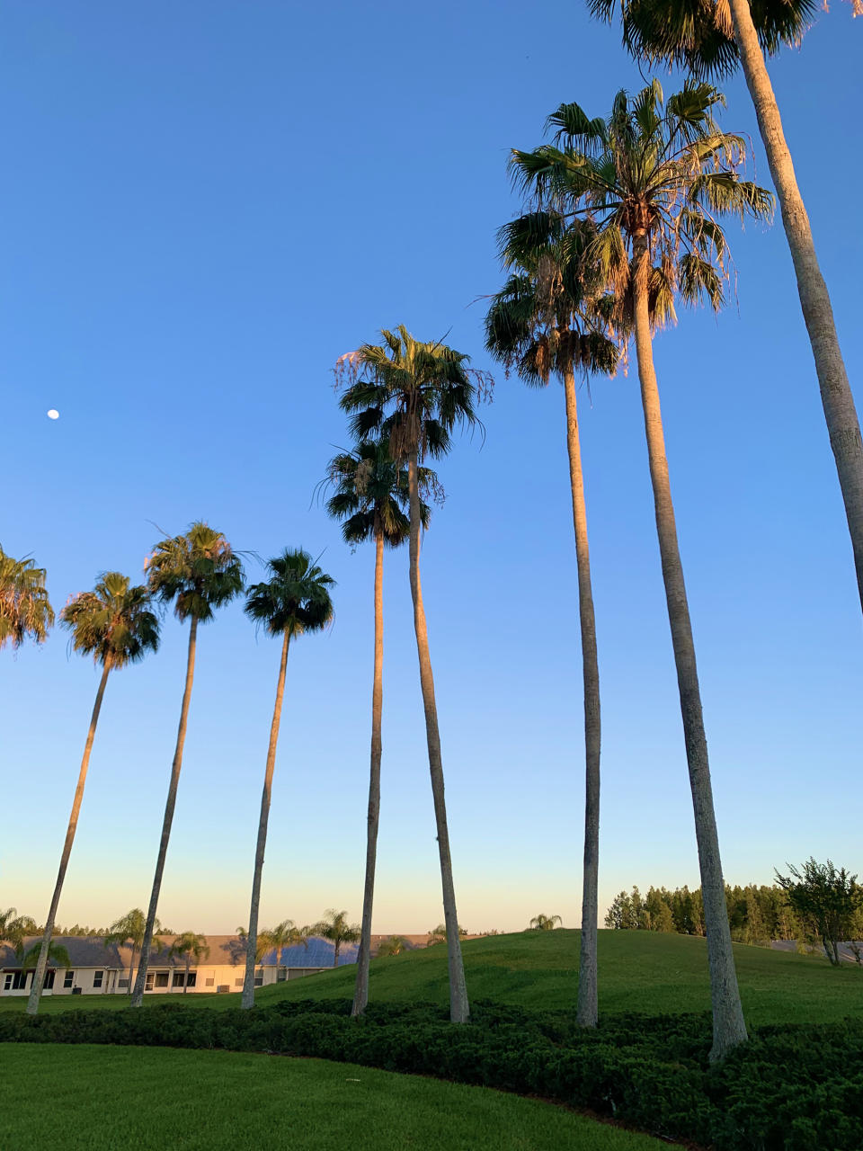Two years have passed since Manna moved into her parents' retirement community, and while she is planning to soon return to New York City, she is savoring the remaining peaceful moments spent watching palm trees sway in the wind.  (Courtesy Christina Manna)