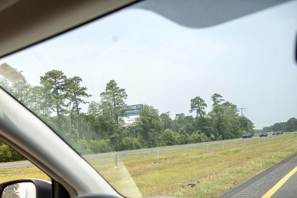 A billboard display along Interstate 40 in Duplin County is hardly visible through the trees.