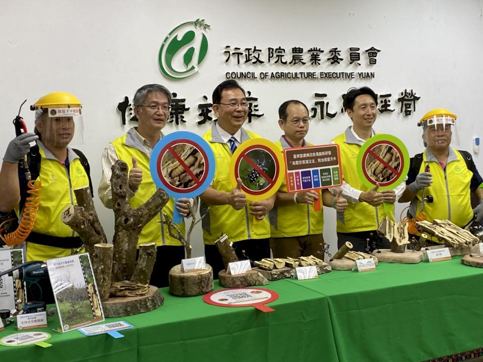 農委會台東區農業改良場歷經5年研發，終於獨步全球找到「斑星天牛」的剋星，而這樣的防治方式，也適用於天牛類危害的中國和東南亞等地區。(圖／陳林幸虹 攝)