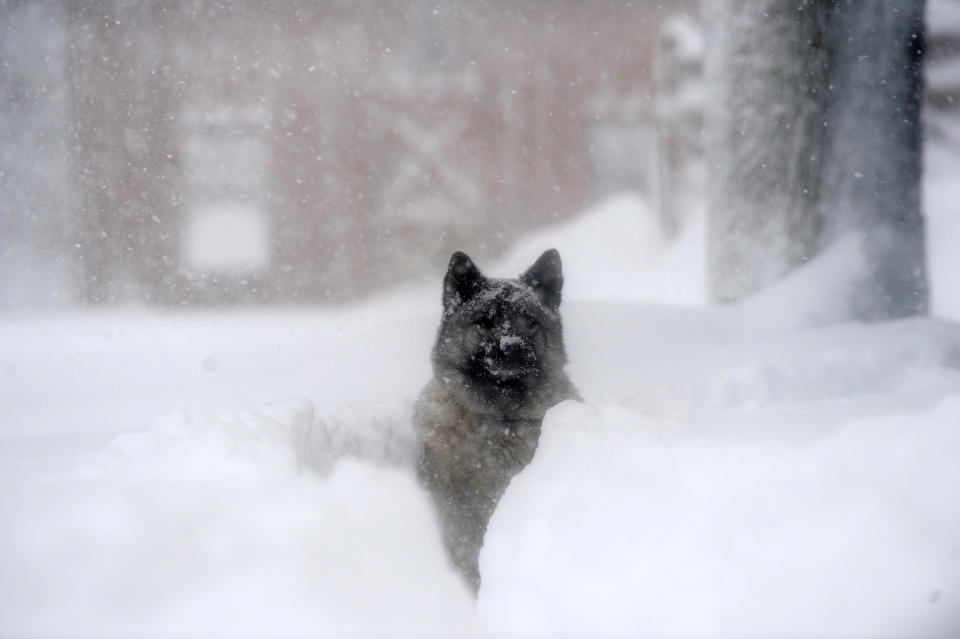 (Photo by John Normile/Getty Images)