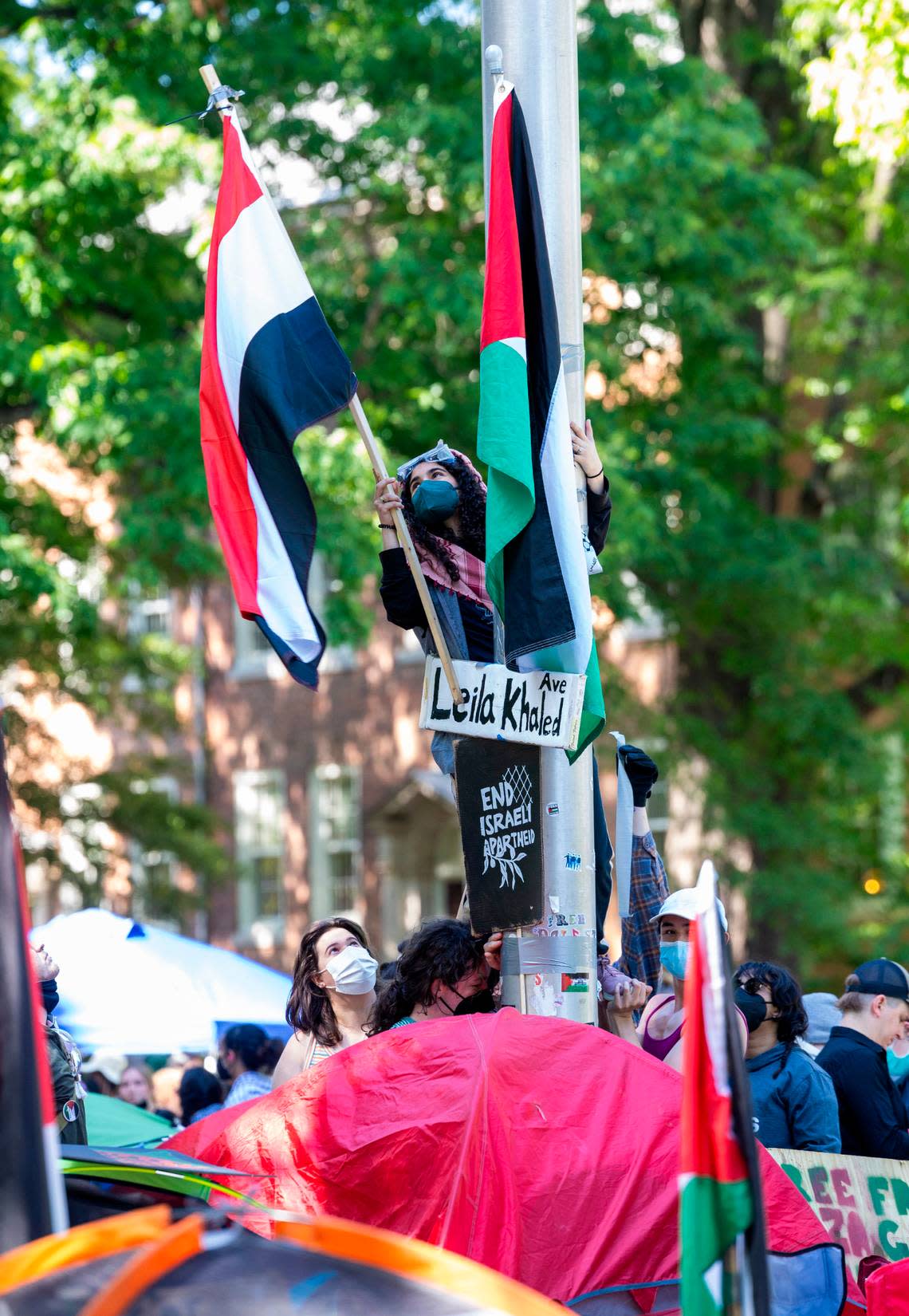 A demonstrator attaches Palestinian flags to a flagpole during a pro-Palestinian protest at an encampment at UNC Chapel Hill on Monday, April 29, 2024. Students for Justice in Palestine urged students to join the encampment, saying that university officials had told them that the “tents are coming down tonight.”