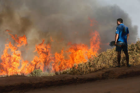 A resident looks at a wildfire in Vina del Mar. REUTERS/Rodrigo Garrido