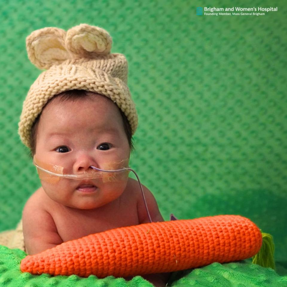 Some-bunny to love:’ Infants from Boston hospital NICU are ready for Easter and spring