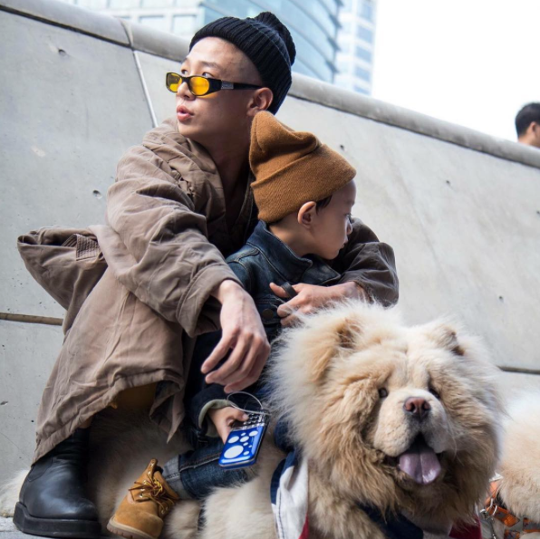 This fluffy Chow Chow doubled as a chic accessory and mode of transportation. 